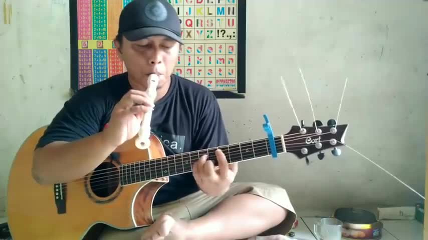 my heart will go on(fingerstyle guitar)