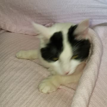 Tornado twins play hide n seek