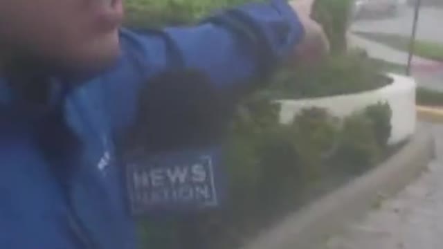 'THERE IT GOES': TREE FALLS NEAR REPORTER AS HURRICANE IAN MOVES IN