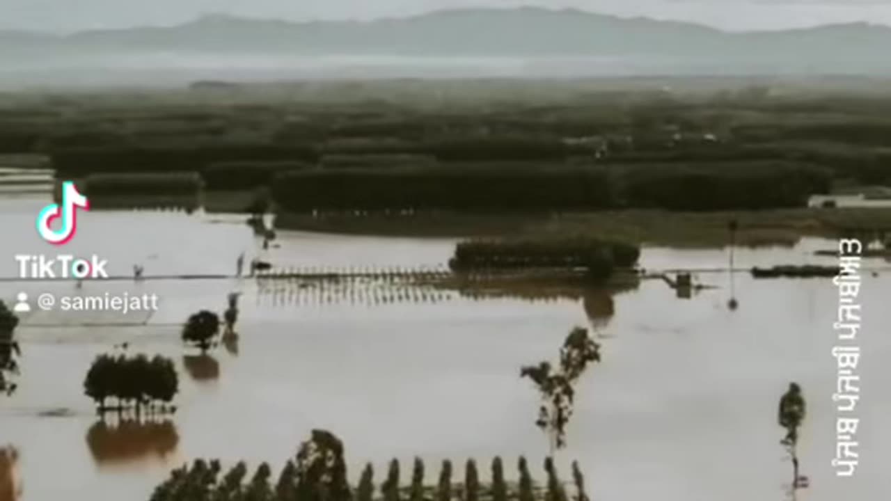 Flood in Punjab