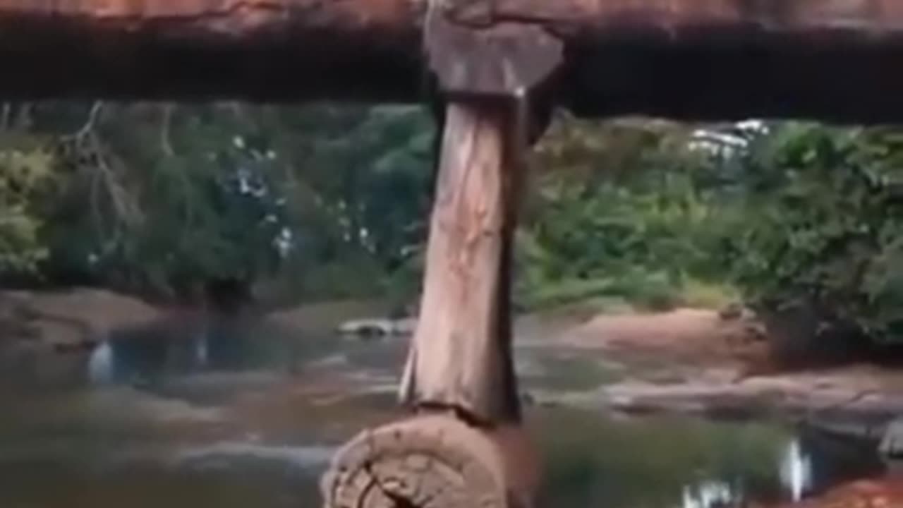 Logging Truck Crossing Wood Bridge FAILS