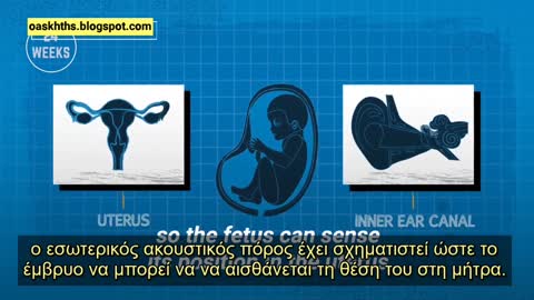 Το μέλλον