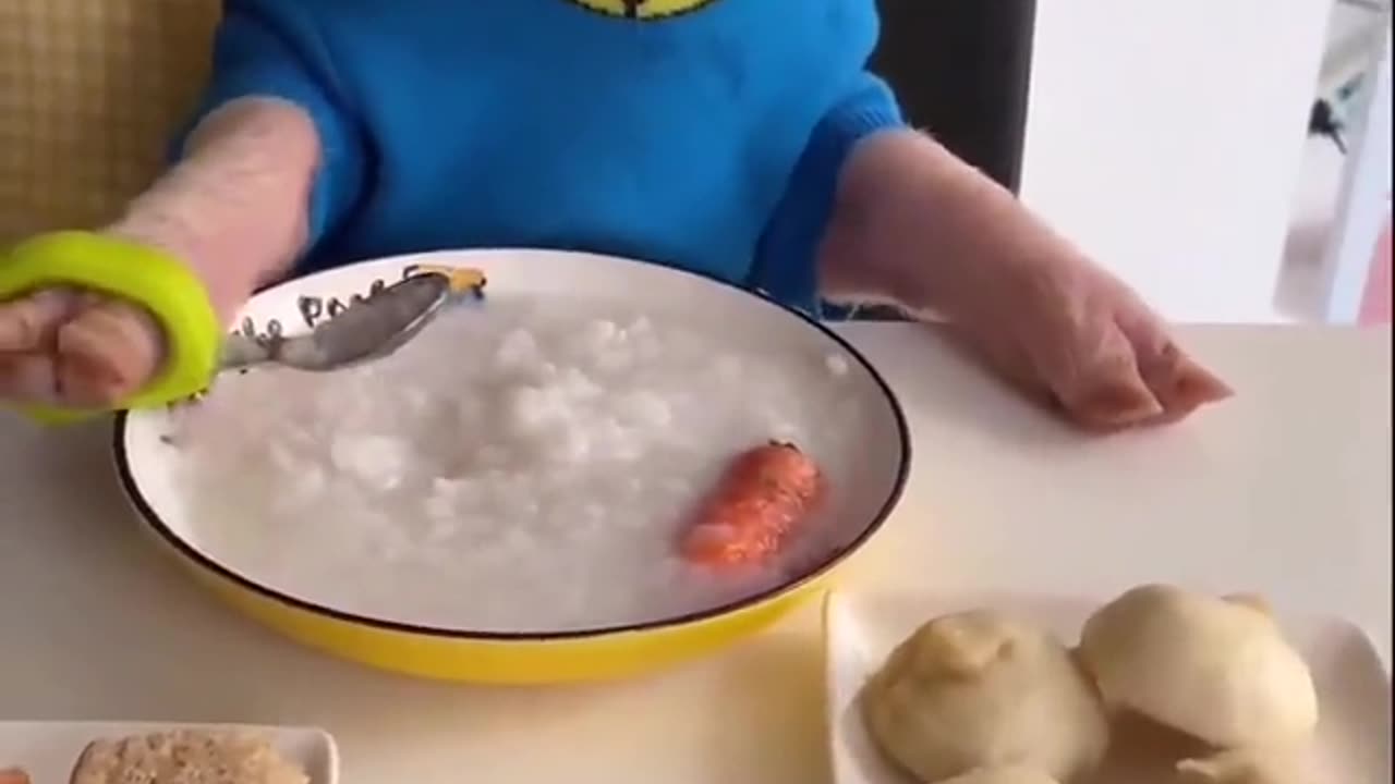 A Pig’s Life | How to Eat Like a Human