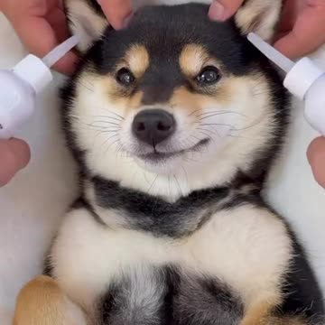 WHAT are YOU DOING with me