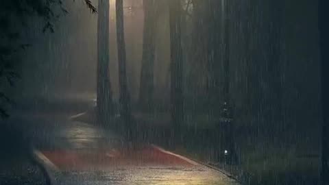 "The Midnight Passenger: A Haunting Train Ride"
