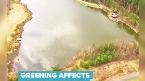 ▶ EXTRAIT-RQ (12 mars 23) : LE VERDISSEMENT (FR)