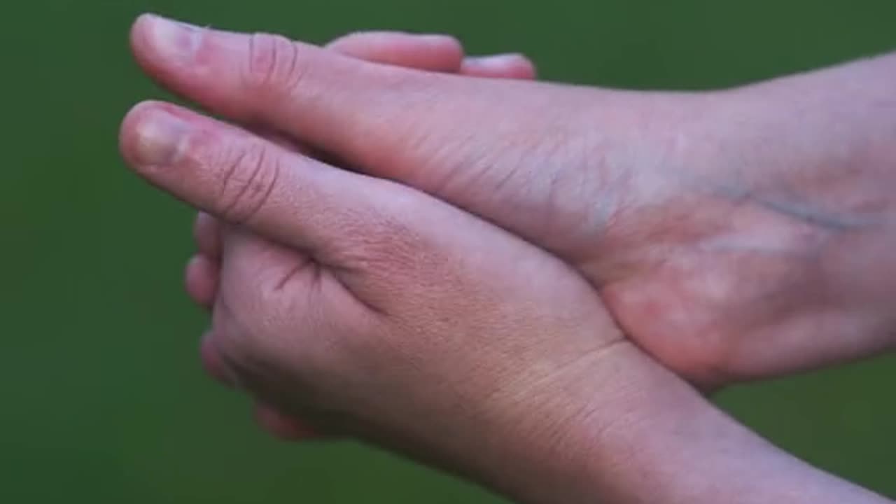 Hand whistle