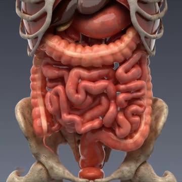 Benefits Of Hot Water When You Drink Every Morning