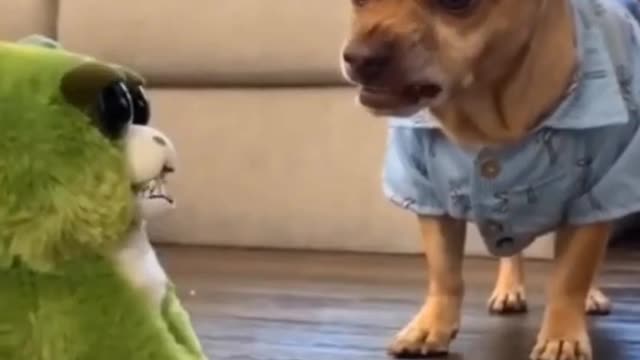 A dog fight with a monkey doll