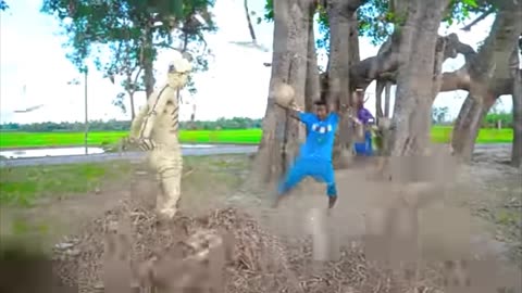 Funny video