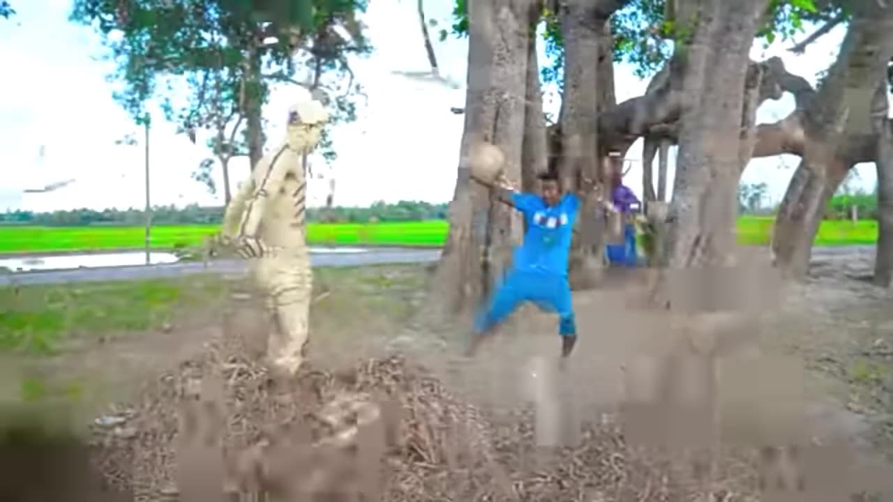 Funny video