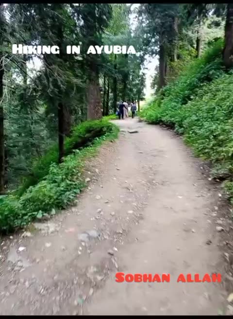 Stunning 😍🥰 Nature 😍😍