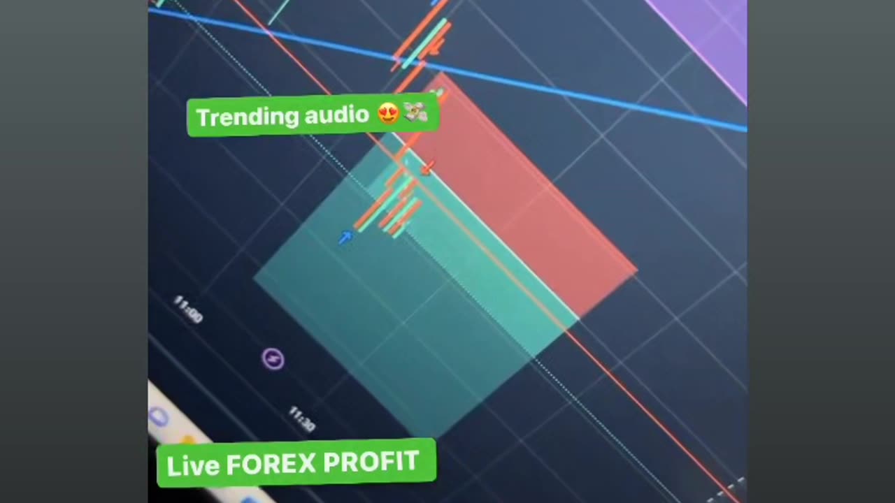 FOREX TRADING LIVE PROFIT