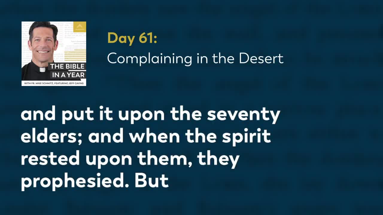 Day 61: Complaining in the Desert — The Bible in a Year (with Fr. Mike Schmitz)