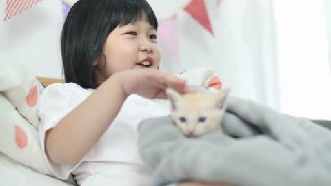 Lovely Asian girl plays with cute tabby kitten