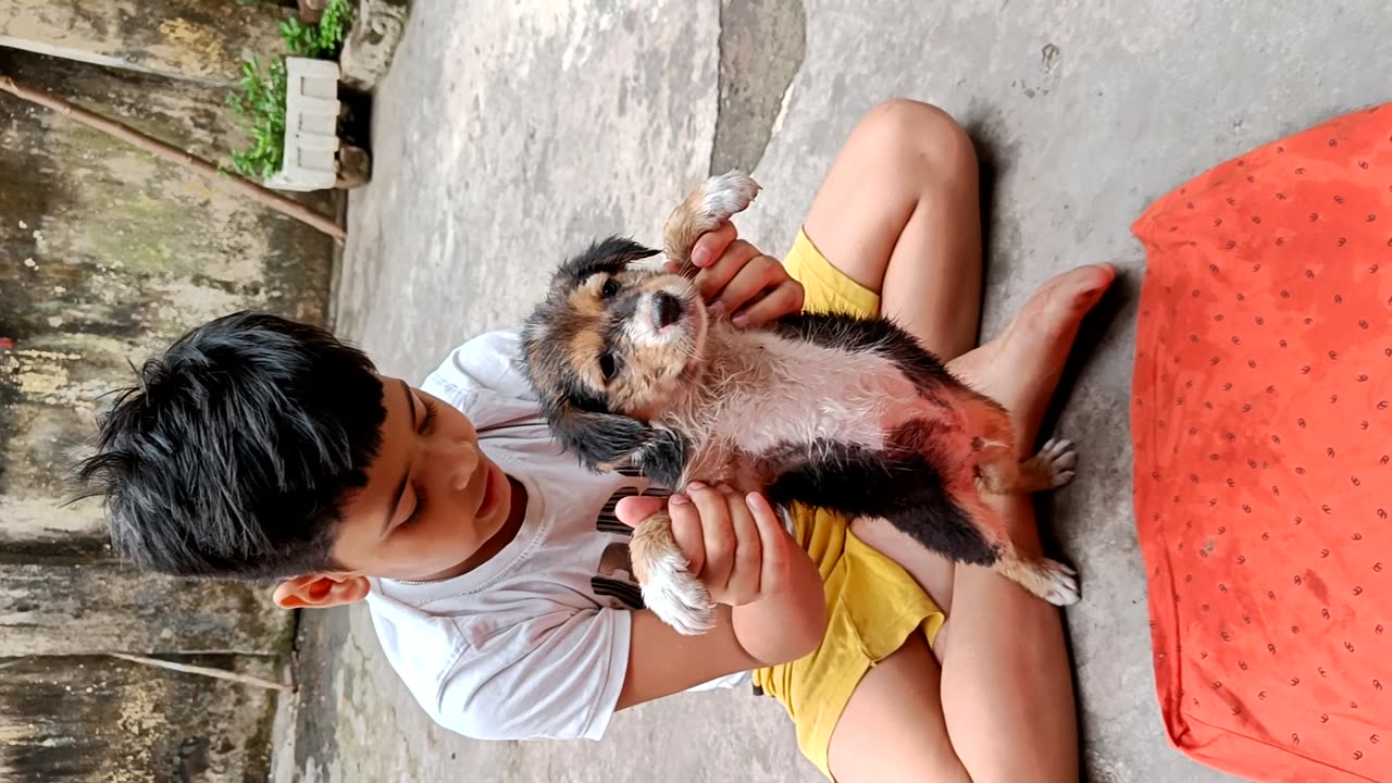 Boy playing with dog