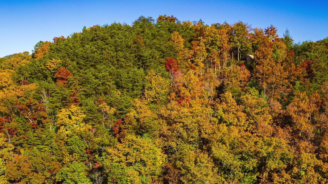 Fall Colors In the Smokys