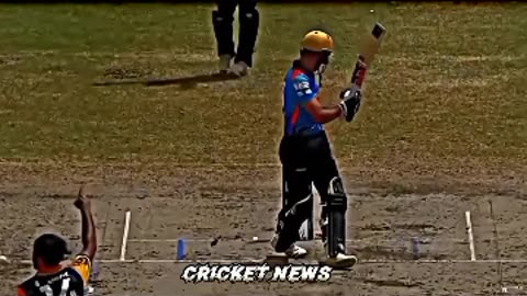 Cricket video 6 ball 6 wilet