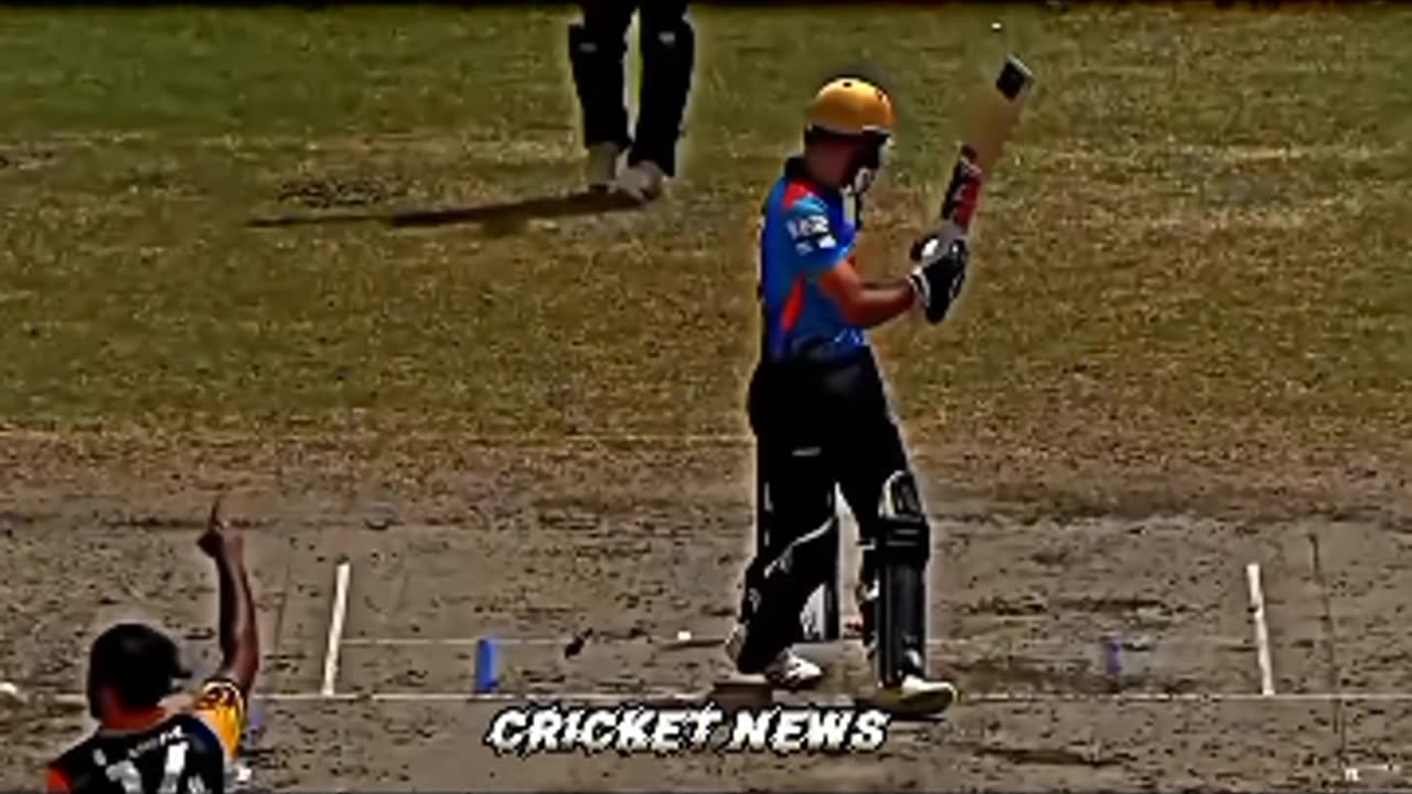 Cricket video 6 ball 6 wilet