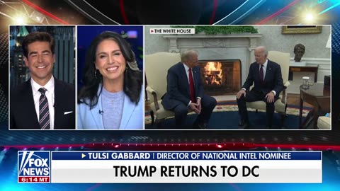 Tulsi Gabbard 'grateful and honored' to be offered director of National Intelligence position