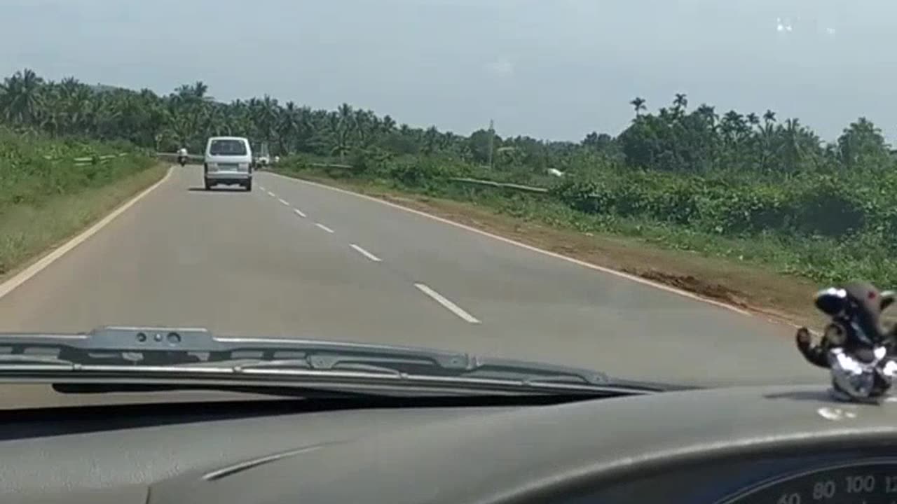 Highway Driving