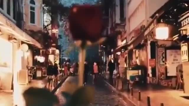 ‏القلوبُ أغصانٌ تميلُ مع أيِّ كلمة.. فاجعل كلماتِكَ نسيماً يَجبُر، لا رياحاً تَكسِر.🌹🌿