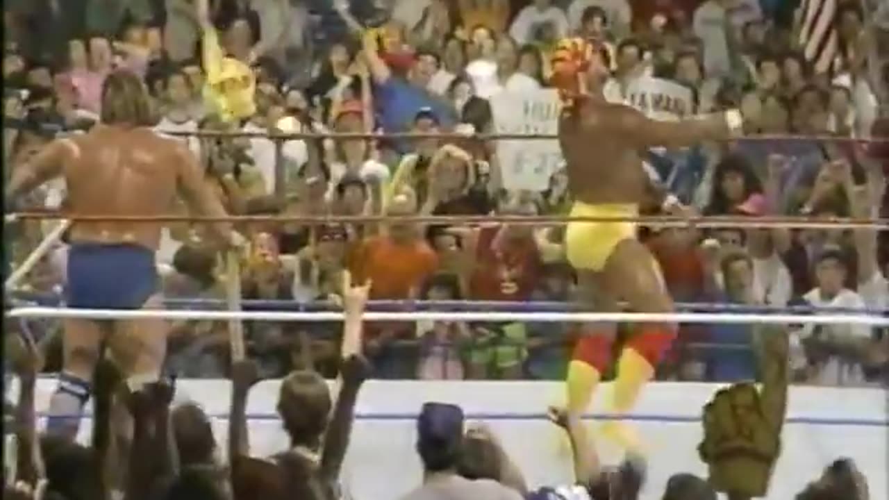 WWE Summer Slam 1990