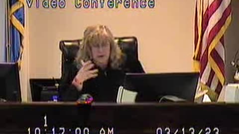 Loftis Matter before Michele Mercer Family Court Judge Clark County Nevada part 1-2