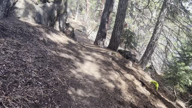 Ancient Geological Zone in Forest – Deschutes River – Central Oregon – 4K