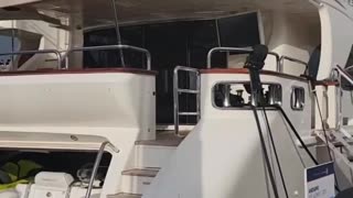 More yachts with #KittyKatCoin 😎