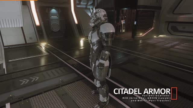 Star Citizen Subscriber Flair 83 - Neoni Helmets