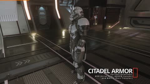 Star Citizen Subscriber Flair 83 - Neoni Helmets