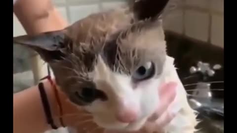 OMG! SHE IS SINGING