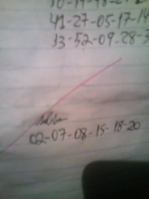 Aprendendo a jogar na megasena 6 numeros 7 jogos