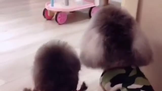 So cute.