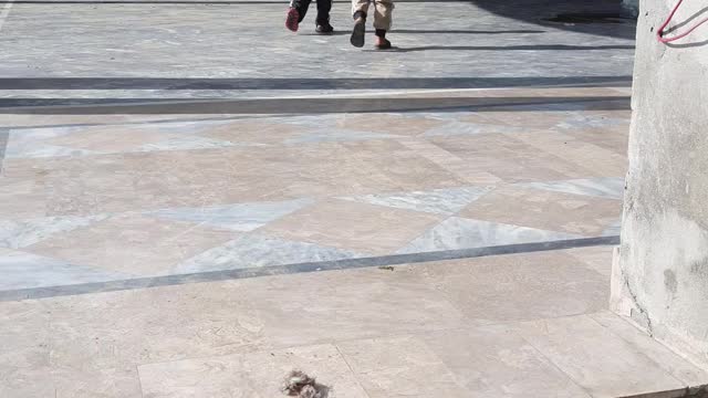 Baby's enjoy sunshine and happy mood