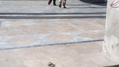 Baby's enjoy sunshine and happy mood