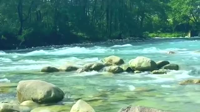 Video of natural beauty that can soothe your mood!
