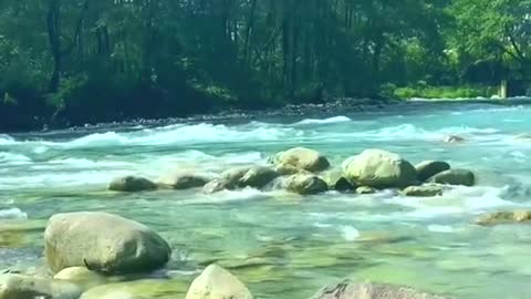 Video of natural beauty that can soothe your mood!