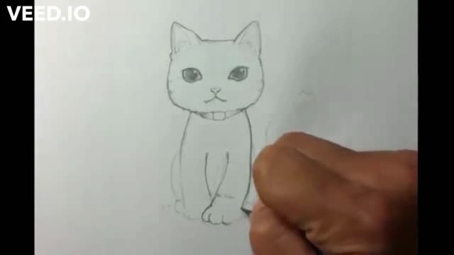 Learn to Draw a Cat