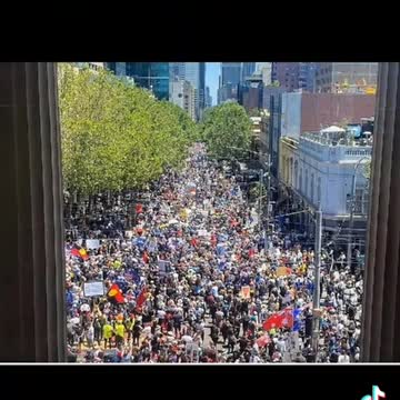 From the the steps in Melbourne