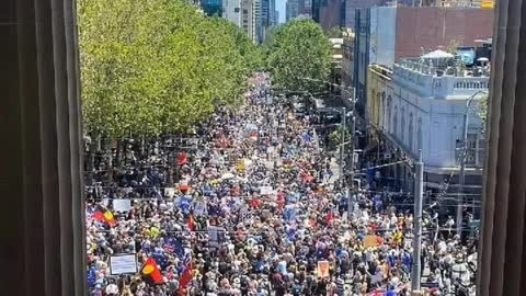 From the the steps in Melbourne