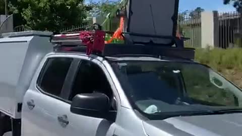 Unmarked Police vehicle with LRAD mounted on it's roof coming out of epic show grounds, Canberra!