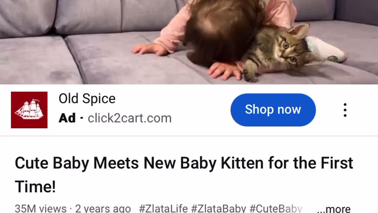 #cutebabyplaywithcat