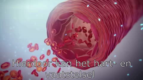 Betere doorbloeding van de organen met Recover-Me