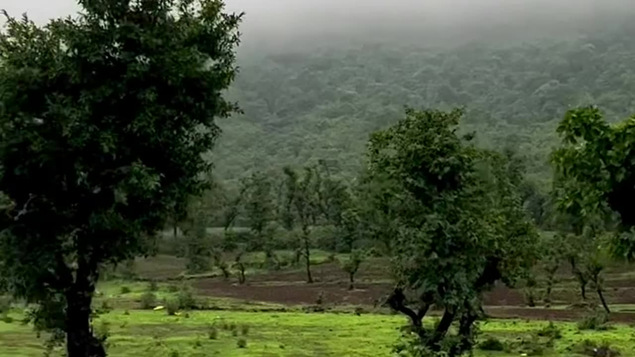 Neture vibes on monsoons