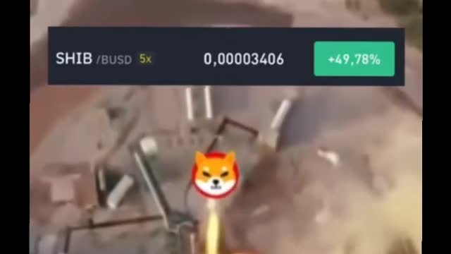 Shiba coin Jumps Over the Moon