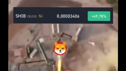 Shiba coin Jumps Over the Moon