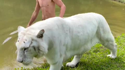 Tarzan with his white lion