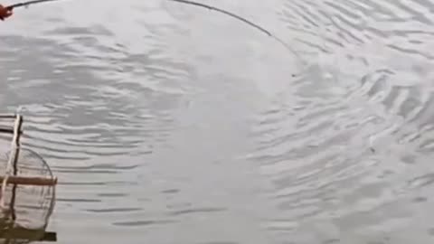 Osam fishing video __ What a fish